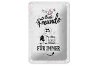 Blechschild Spruch Beste Freunde für immer 12x18cm