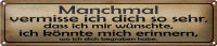 Blechschild Spruch 46x10cm manchmal vermisse ich dich...