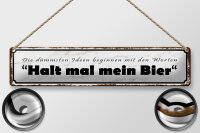 Blechschild Spruch 46x10cm  dümmste Ideen halt mein...