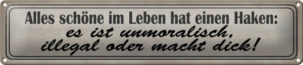 Blechschild Spruch 46x10cm alles schöne hat einen Haken Dekoration