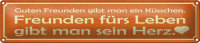 Blechschild Spruch 46x10cm Freunden fürs Leben gibt...
