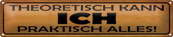 Blechschild Spruch 46x10cm theoretisch ich praktisch alles Dekoration