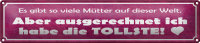 Blechschild Spruch 46x10cm ich habe die tollste Mutter...