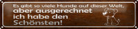 Blechschild Spruch 46x10cm es gibt so viele Hunde auf...