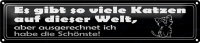 Blechschild Spruch 46x10cm es gibt so viele Katzen auf...