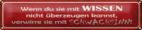 Blechschild Spruch 46x10cm verwirre sie mit Schwachsinn Dekoration
