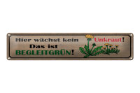 Blechschild Spruch 46x10cm hier wächst kein Unkraut...