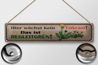 Blechschild Spruch 46x10cm hier wächst kein Unkraut das ist Dekoration