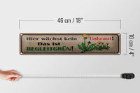 Blechschild Spruch 46x10cm hier wächst kein Unkraut das ist Dekoration