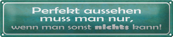 Blechschild Spruch 46x10cm Perfekt aussehen nur wenn man Dekoration