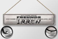 Blechschild Spruch 46x10cm keine Freunde Sammlung an Irren Dekoration