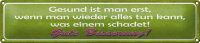 Blechschild Spruch 46x10cm Gute Besserung Gesund ist man Dekoration