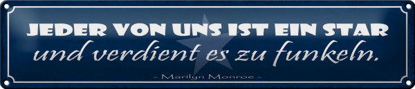Blechschild Spruch 46x10cm jeder von uns ist ein Star und Dekoration