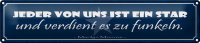 Blechschild Spruch 46x10cm jeder von uns ist ein Star und Dekoration