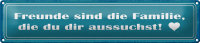 Blechschild Spruch 46x10cm Freunde sind Familie die du...
