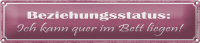 Blechschild Spruch 46x10cm Beziehungsstatus quer im Bett Dekoration