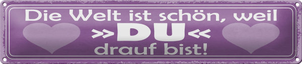 Blechschild Spruch 46x10cm Welt ist schön weil DU bist Dekoration