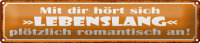 Blechschild Spruch 46x10cm mit dir Lebenslang romantisch Dekoration