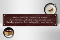 Holzschild Spruch 46x10cm Stress entsteht wenn das Gehirn Dekoration