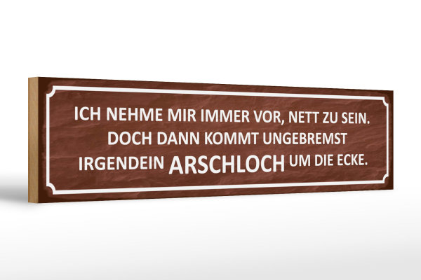 Holzschild Spruch 46x10cm ich immer nett doch Arschloch Dekoration