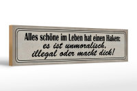 Holzschild Spruch 46x10cm alles schöne hat einen Haken Dekoration