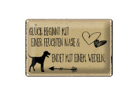 Blechschild Spruch 12x18 cm Glück endet mit Wedeln...