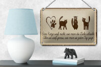 Blechschild Spruch 12x18 cm Katze liebe schreibt Schild