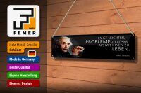 Blechschild Einstein Zitat 46x10 cm leichter Probleme zu lösen Schild