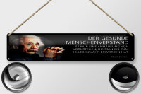 Blechschild Einstein Zitat 46x10 cm Der gesunde...