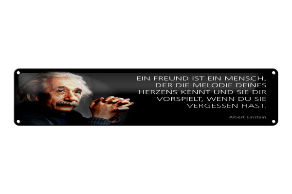 Blechschild Einstein Zitat 46x10 cm Freund, der die Melodie deines Herzens