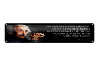 Blechschild Einstein Zitat 46x10 cm Freund, der die Melodie deines Herzens