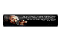 Blechschild Einstein Zitat 46x10 cm Der Horizont  vieler...