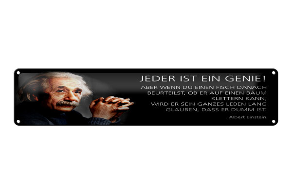 Blechschild Einstein Zitat 46x10 cm Jeder ist ein Genie Schild