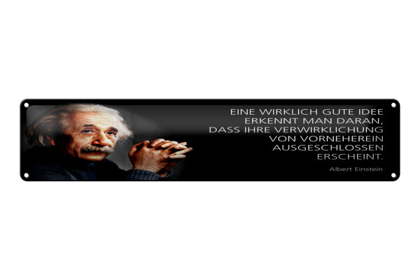 Blechschild Einstein Zitat 46x10 cm eine wirklich gute Idee erkennt man