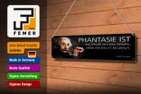 Blechschild Einstein Zitat 46x10 cm Phantasie ist wichtiger als das Wissen