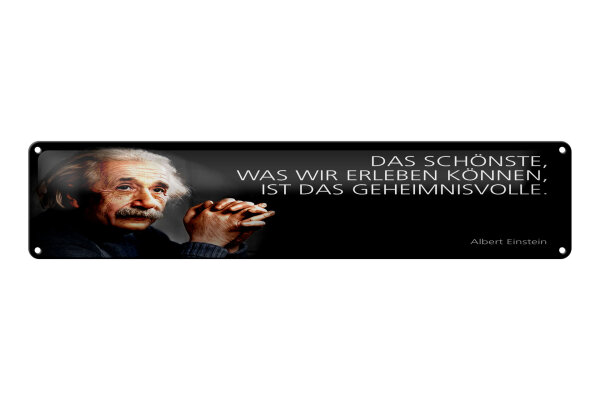 Blechschild Einstein Zitat 46x10 cm Das Schönste, was wir erleben können