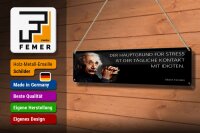 Blechschild Einstein Zitat 46x10 cm Der Hauptgrund für Stress Schild