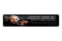 Blechschild Einstein Zitat 46x10 cm denn du lebst nur...