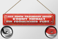 Blechschild Zitat 46x10 cm Aus einem traurigen Arsch...