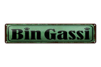 Blechschild Hinweis 46x10 cm Bin Gassi grünes Deko...