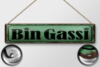 Blechschild Hinweis 46x10 cm Bin Gassi grünes Deko...