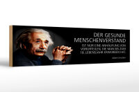 Holzschild Einstein Zitat 46x10 cm Der gesunde Menschenverstand Schild