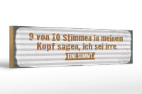 Holzschild Spruch 46x10cm 9 von 10 Stimmen in meinem Kopf...