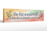 Holzschild Spruch 46x10cm du bist wundervoll schön...