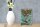 Holzschild Retro 12x18cm Pinup hey Sailor Ocean spirit See