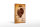 Holzschild Truthahn 12x18cm Turkey cuts Organic Metzgerei