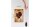 Holzschild Truthahn 12x18cm Turkey cuts Organic Metzgerei