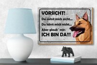 Holzschild Spruch 18x12cm Vorsicht Hund Du siehst mich nicht
