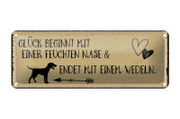 Blechschild Spruch 27x10 cm Glück endet mit Wedeln...