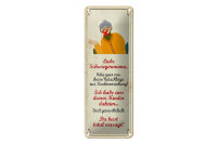 Blechschild Spruch 27x10 cm liebe Schwiegermama spar mir deine Ratschläge Schild
